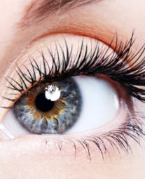 Lashes - Alter the shape and color of your natural lashes